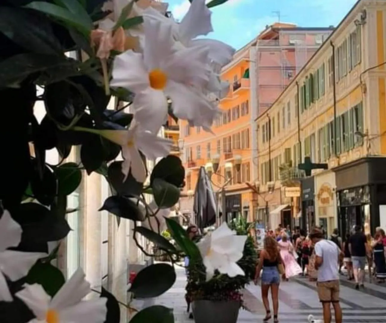 Casa Girasole Sanremo Centro Apartment